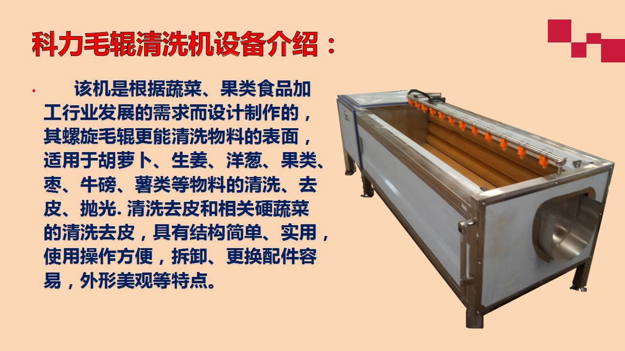 土豆 海蠣子毛輥去皮清洗機(jī)