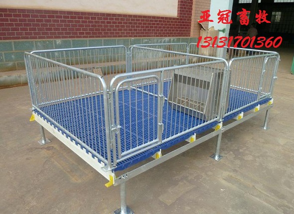 上海仔豬用普通保育床大量供應(yīng)