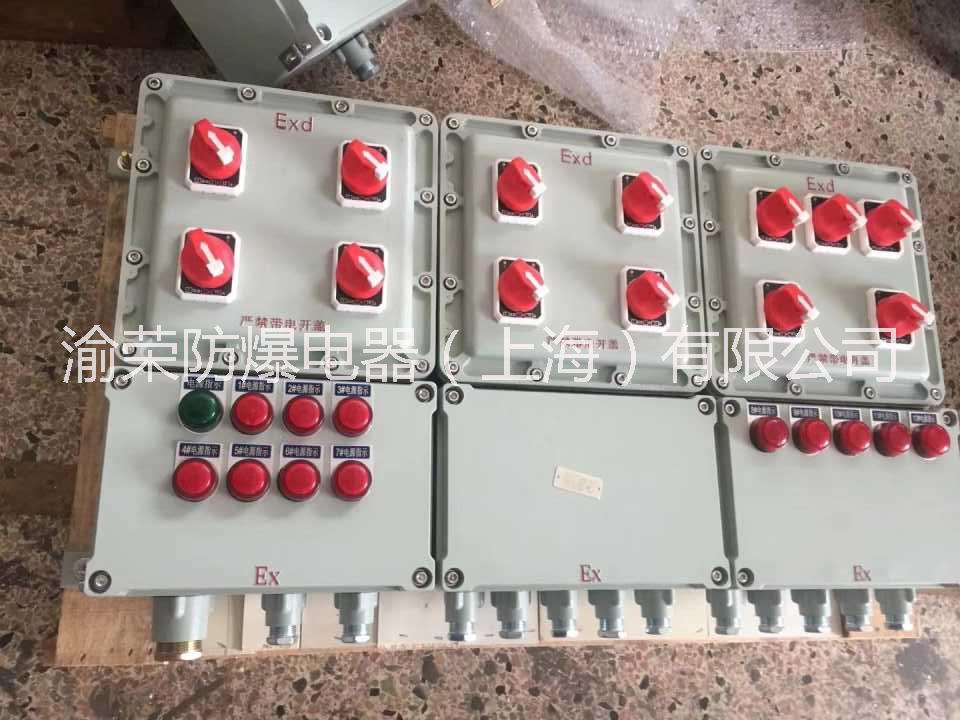 上海專業(yè)十年非標(biāo)防爆配電箱渝榮防爆定做
