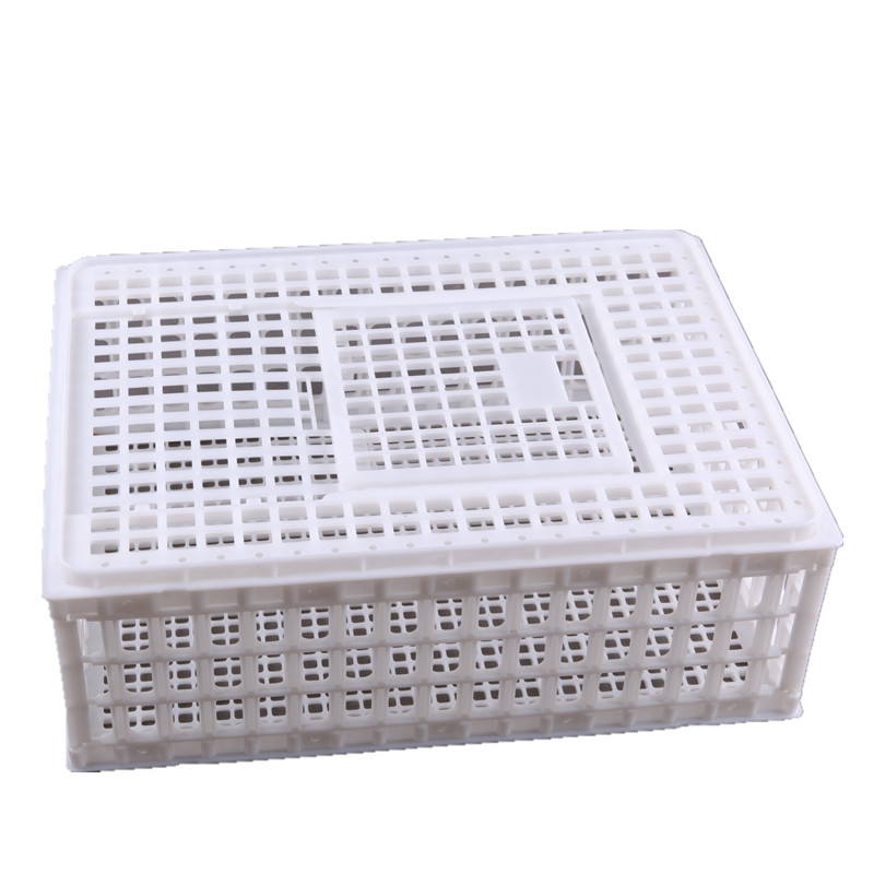 雞鴨鵝籠子 塑料運輸籠 裝鵝籠子