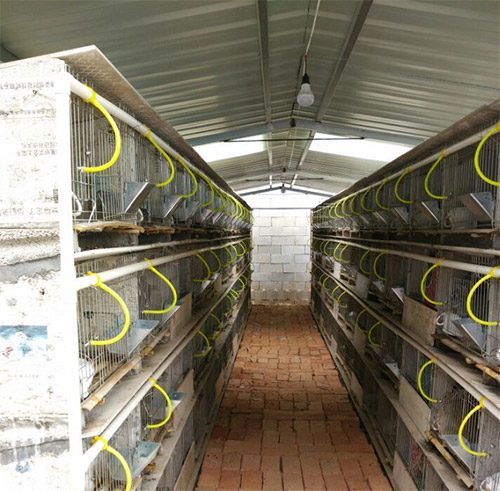 供應(yīng)現(xiàn)貨水泥兔籠兔舍兔子養(yǎng)殖