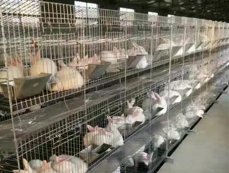 三層立式鐵絲兔籠豎式鐵絲兔籠