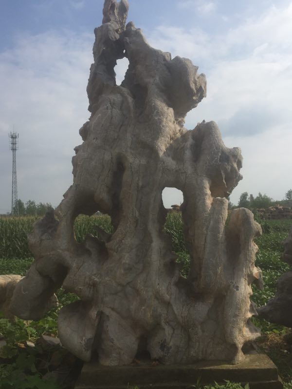 上海專業(yè)設(shè)計園林景觀石，揚州專業(yè)設(shè)計園林景觀石，山東專業(yè)設(shè)計園林景觀石