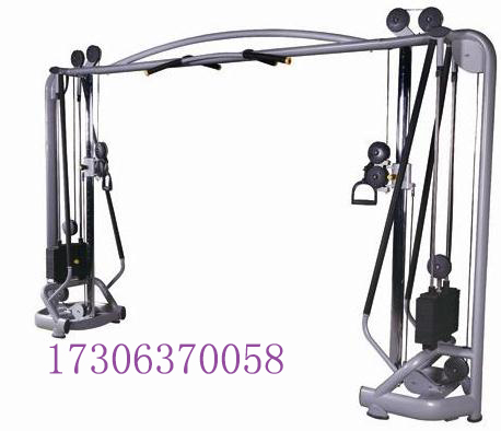 大小飛鳥龍門架多功能器材可調(diào)節(jié)力量健身房商用家用訓(xùn)練器械組合