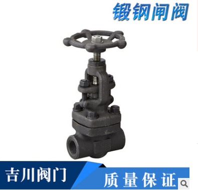 廠家直銷優(yōu)質(zhì)不銹鋼304材質(zhì)45度閘閥 不銹鋼內(nèi)絲內(nèi)螺紋閘閥