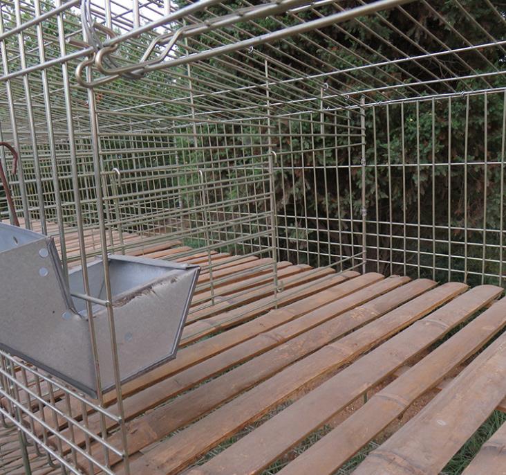 鐵絲兔籠竹底板廠家*