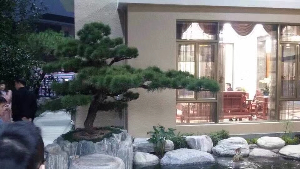 這樣的假山魚池效果，您還擔心什么