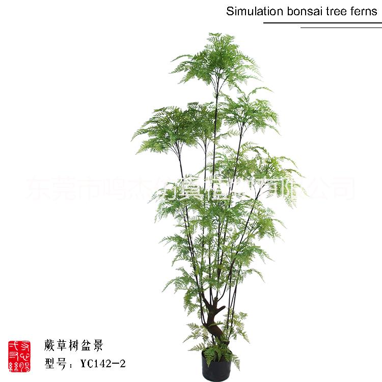 仿真波斯葉蕨草盆景羊齒蕨水杉葉巴 仿真熱帶波斯蕨草盆景 仿真波斯蕨草盆景YC142-1