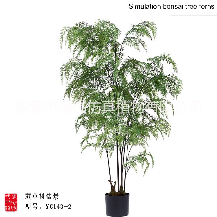 仿真波斯葉蕨草盆景羊齒蕨水杉葉巴熱帶仿真波斯蕨草盆景仿真波斯蕨草盆景YC143-1