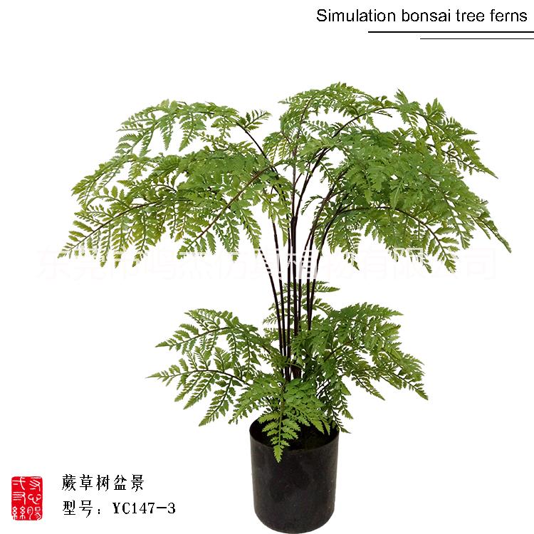 北歐仿真波斯蕨草盆景室內(nèi)軟裝假樹假草工藝品  仿真樹供應(yīng)商 仿真波斯蕨草盆景YC147