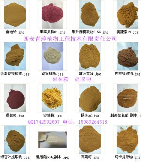 供應(yīng)苦瓜提取物6:1 棕黃色流動(dòng) 現(xiàn)貨庫(kù)存2噸