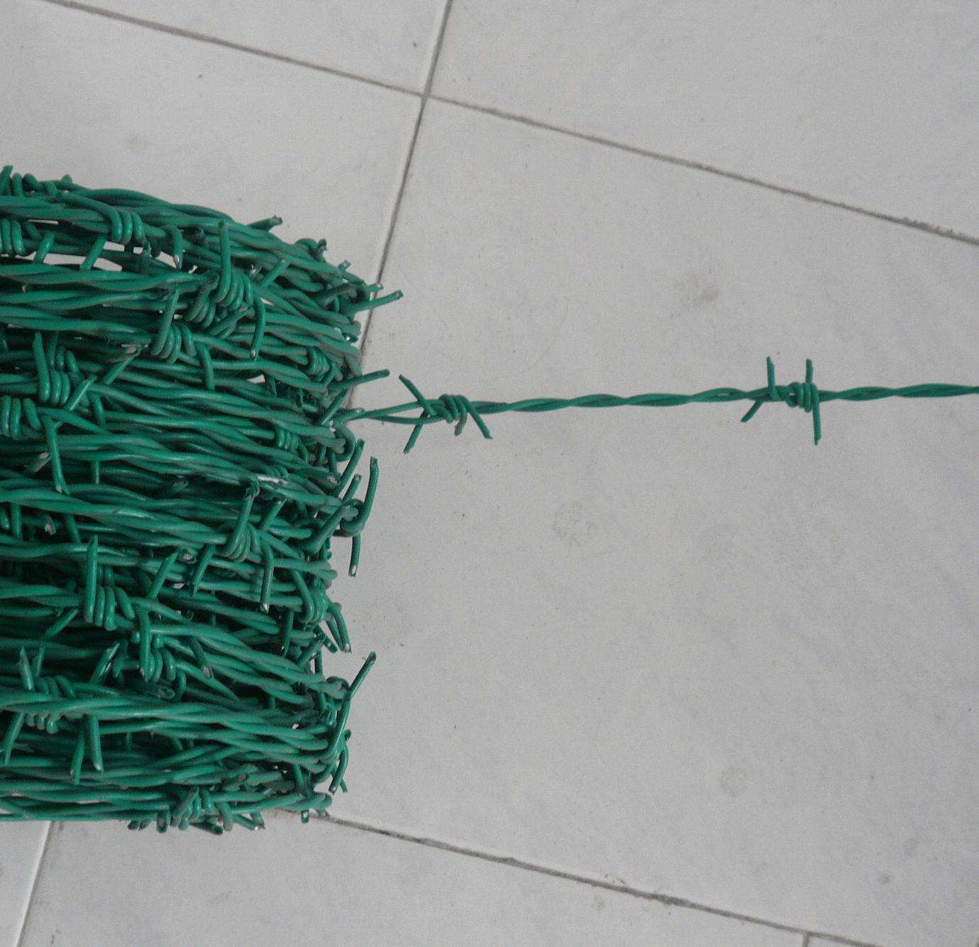 圍墻防盜*刺繩圍欄網(wǎng) 鍍鋅監(jiān)獄圍墻防盜*刺繩圍欄網(wǎng)