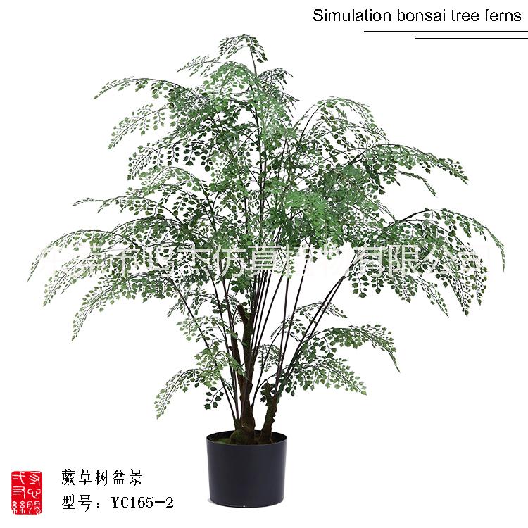 仿真波斯葉蕨草盆景羊齒蕨水杉葉巴 熱帶仿真波斯蕨草盆景 熱帶仿真波斯蕨草盆景供應(yīng)商 熱帶仿真波斯蕨草盆景YC165