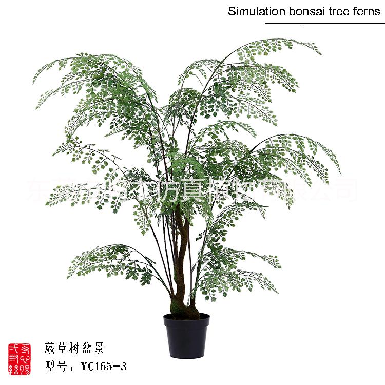 仿真波斯葉蕨草盆景羊齒蕨水杉葉巴 熱帶仿真波斯蕨草盆景 熱帶仿真波斯蕨草盆景供應(yīng)商 熱帶仿真波斯蕨草盆景YC165