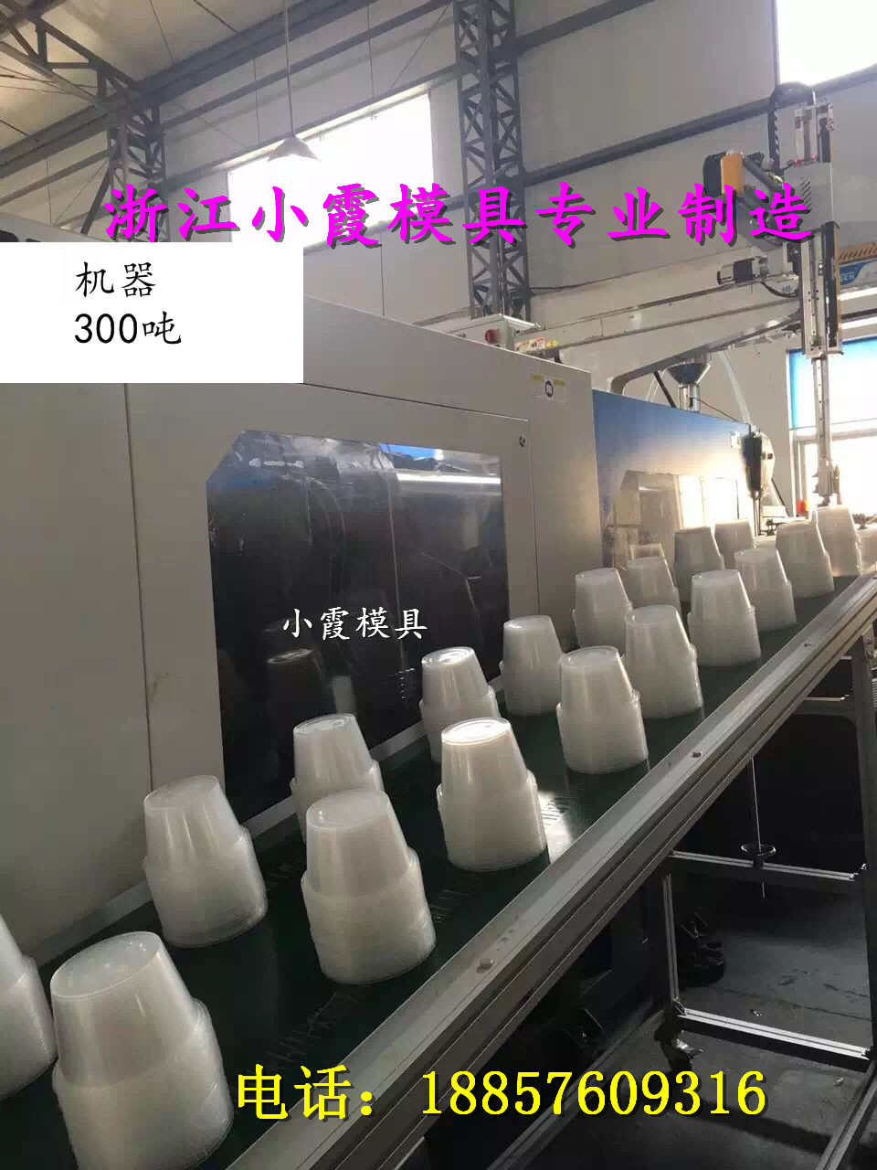 3500ml龍蝦打包盒模具|3500ml酸菜魚(yú)打包盒模具開(kāi)模工廠