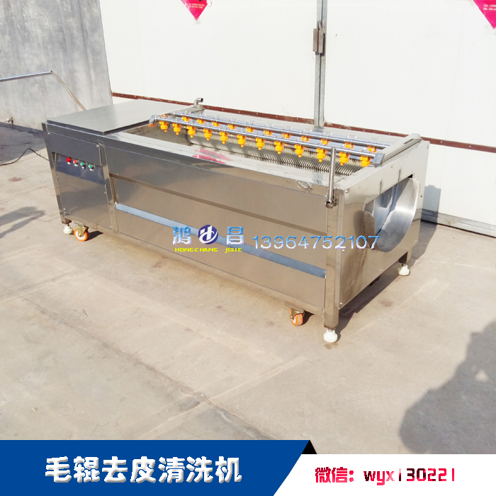 毛輥清洗機(jī)，大姜去皮清洗機(jī)，花生毛刷去泥機(jī)