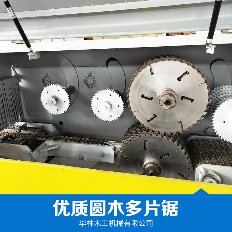 廠家直銷  圓木多片鋸 改厚鋸 方木鋸 自動鋸木機(jī) 電動鋸木機(jī) 品質(zhì)保證 售后無憂