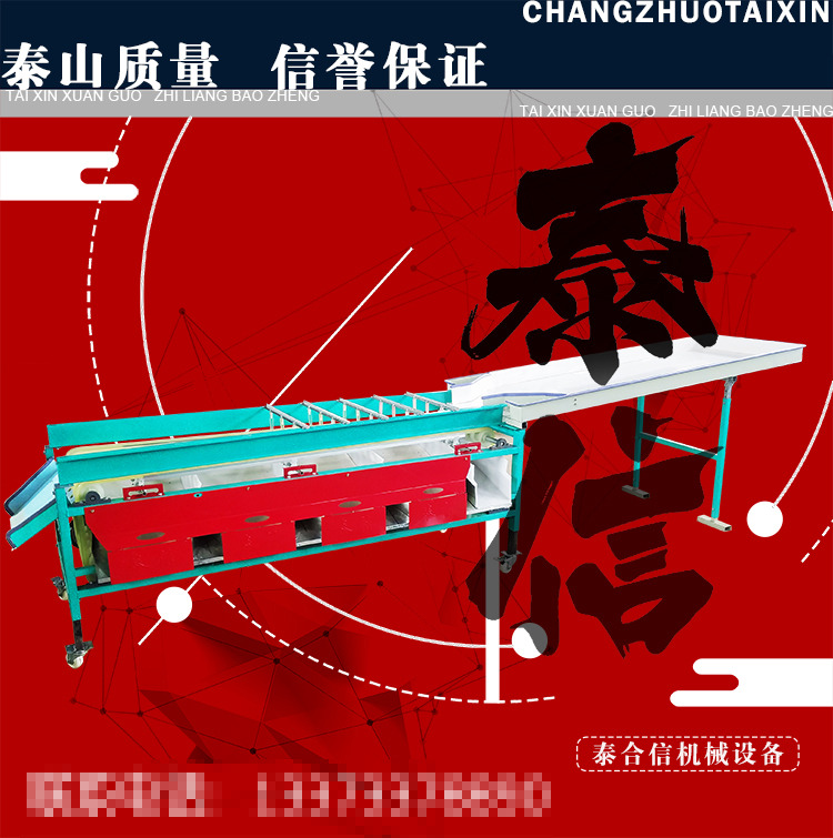 泰信牌黃果橙子基礎(chǔ)款分級(jí)機(jī) 分選機(jī) 果蔬分大分級(jí)精準(zhǔn)效率高