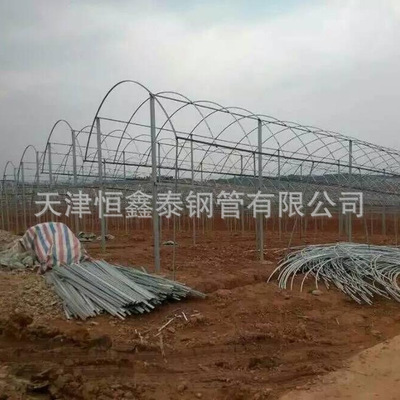 廠家直銷鍍鋅大棚管，供應(yīng)鍍鋅大棚管，鍍鋅大棚管直銷，鍍鋅大棚管價(jià)格，鍍鋅大棚管廠家，鍍鋅大棚管生產(chǎn)商