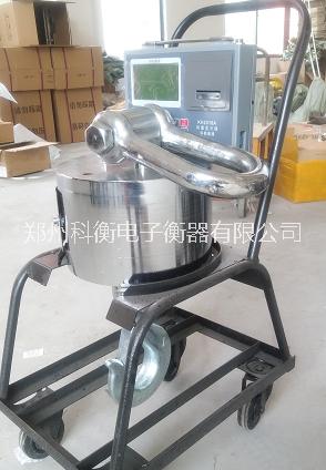 不用充電的吊鉤秤廠家 河南質(zhì)量好的吊秤品牌 不用充電的吊鉤秤直銷 吊秤品牌*名