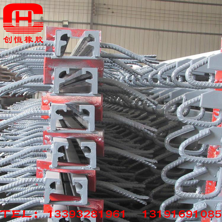 F型橋梁伸縮縫裝置@拉薩F型橋梁伸縮縫裝置@F型橋梁伸縮縫廠家