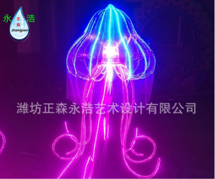 水母節(jié)日彩燈 水母節(jié)日彩燈廠家 水母節(jié)日彩燈價(jià)格 水母節(jié)日彩燈哪家好 水母節(jié)日彩燈供貨商