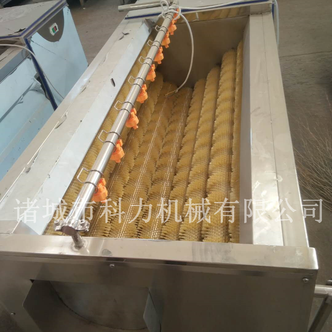 毛輥洗菜機(jī)土豆地瓜去皮清洗機(jī) 毛輥洗菜機(jī)土豆地瓜去皮清洗機(jī)廠家