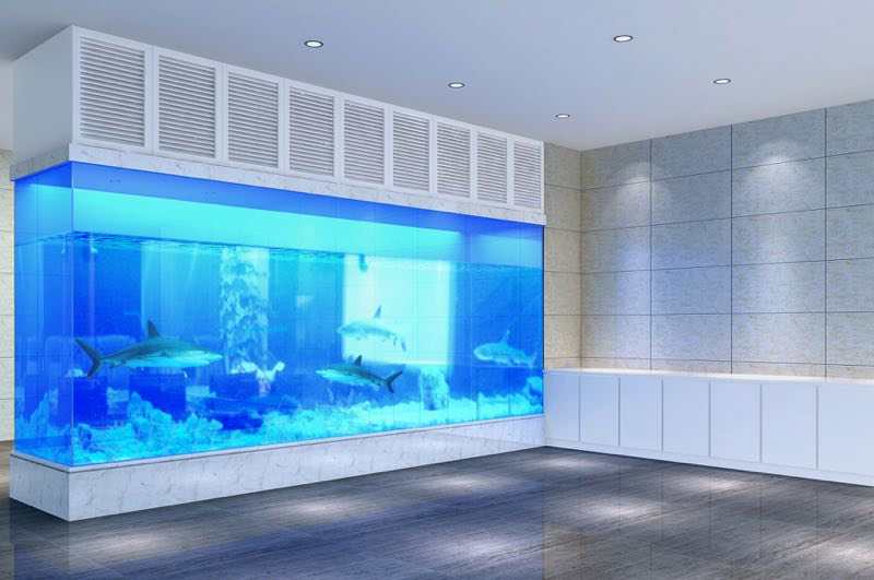 杭州水族參觀玻璃觀賞魚缸