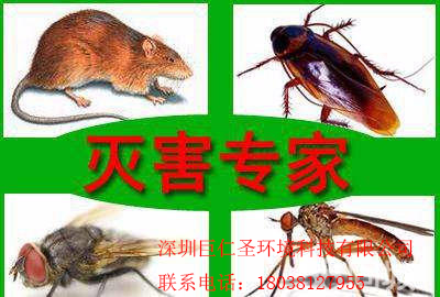 上門滅蟑螂公司殺蟑螂公司深圳巨仁圣環(huán)境科技有限公司 上門滅蟑螂公司殺蟑螂公司
