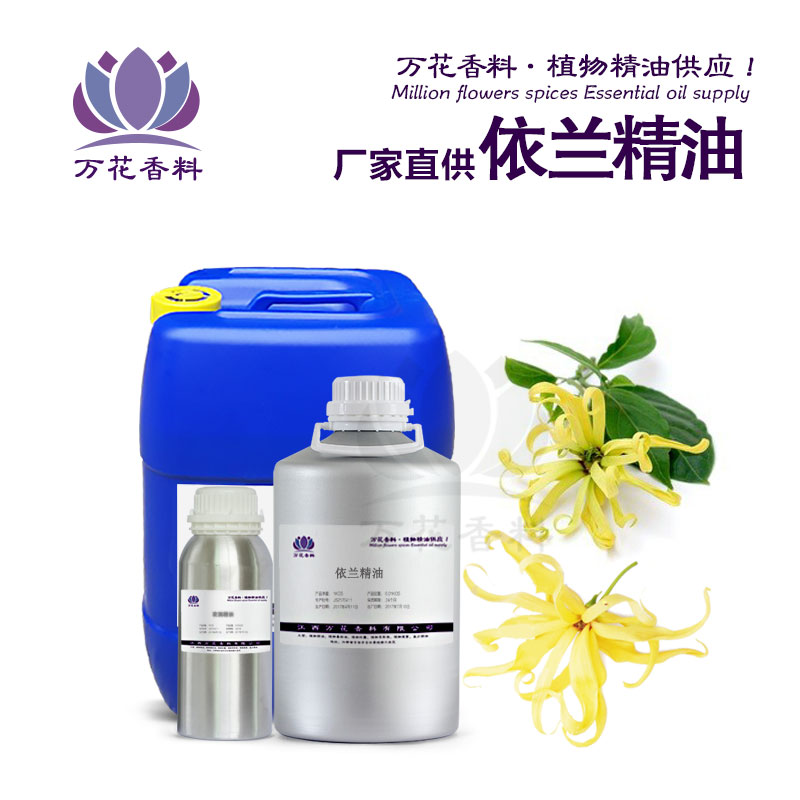 精油廠家供應(yīng) 依蘭依蘭精油 依蘭精油 單方精油 精油批發(fā)