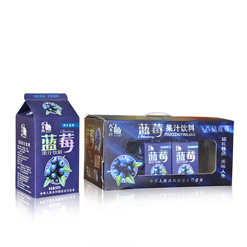 大馬邦500ml*藍(lán)莓果汁飲料，瓶裝果汁飲料批發(fā)