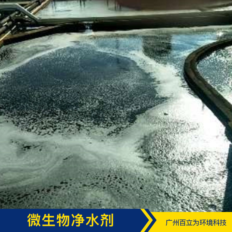 *除臭菌劑 廣州污水凈化方案 污水凈化 污水處理菌 品質(zhì)保證