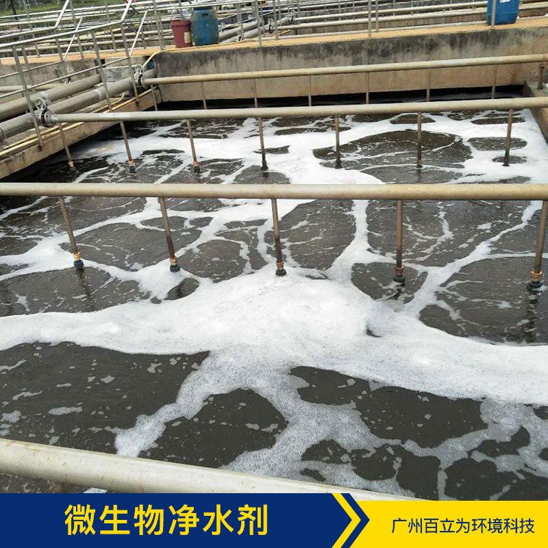 微生物凈水劑 廣州污水凈化方案 污水凈化 污水處理菌 品質(zhì)保證