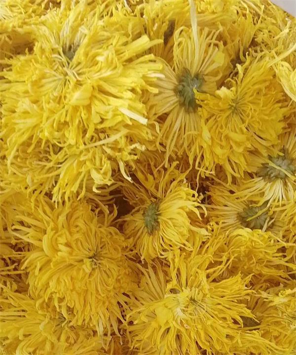菊花烘干房生產廠家 金絲皇菊烘干機廠家
