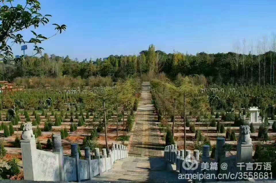 洛陽(yáng)墓地 吉祥墓型福位