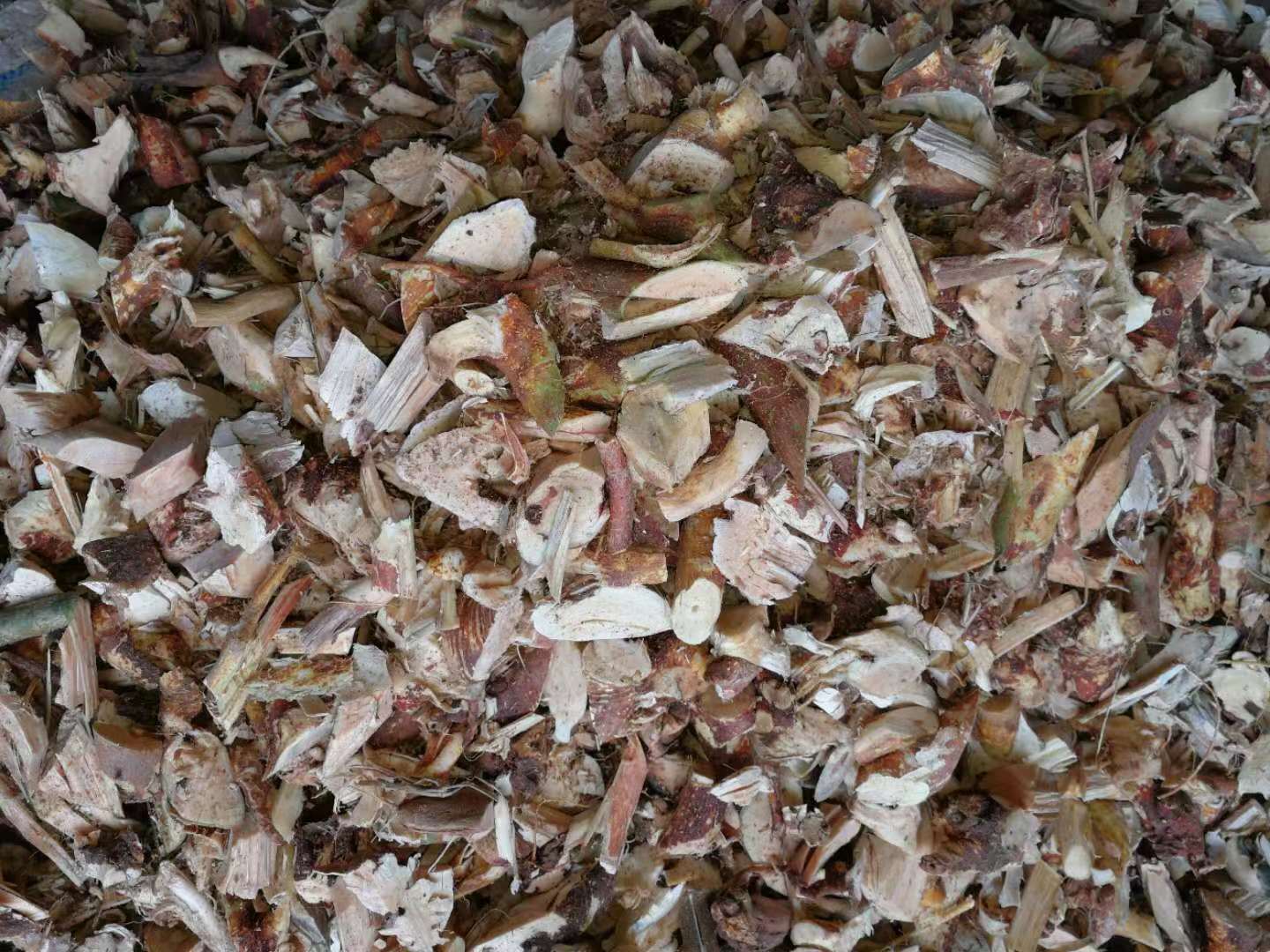 五指毛桃價格-廠家