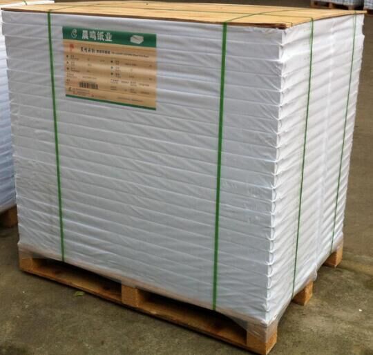 地龍雙膠紙道林紙?jiān)嚲頃z版紙