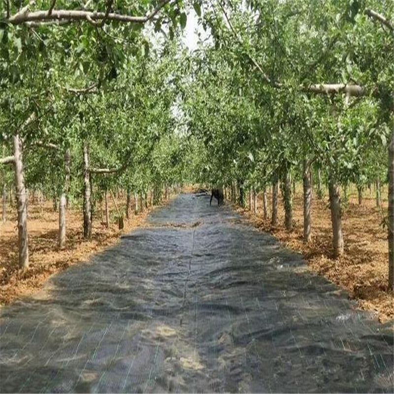 果園用防草布多少錢一平米