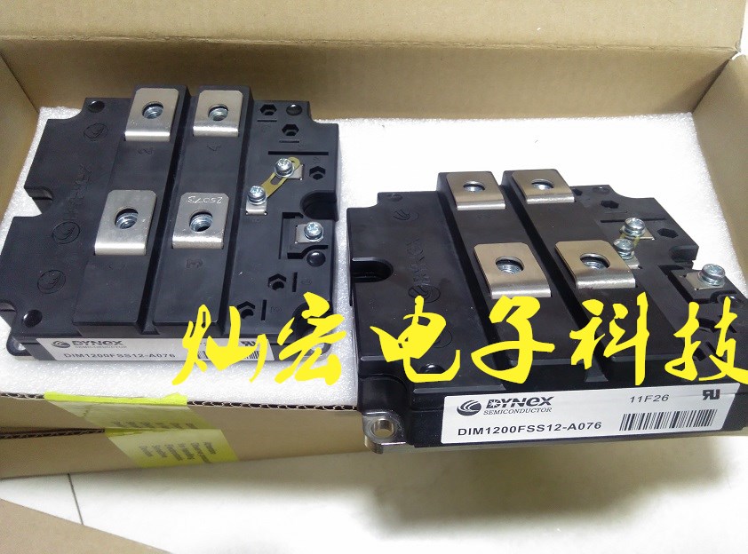 DYNEX丹尼克斯DIM1600FSM17