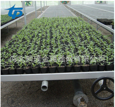 育苗養(yǎng)花整體大棚床 防傾斜熱鍍鋅 溫室采摘園*花卉苗床 大棚床批發(fā)價(jià)格