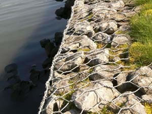 景觀擋土墻生態(tài)格網(wǎng)防洪防汛植被綠