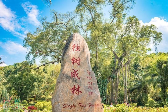云南旅游 西雙版納雙飛5日游 貴陽旅行社跟團游 貴陽到云南旅游