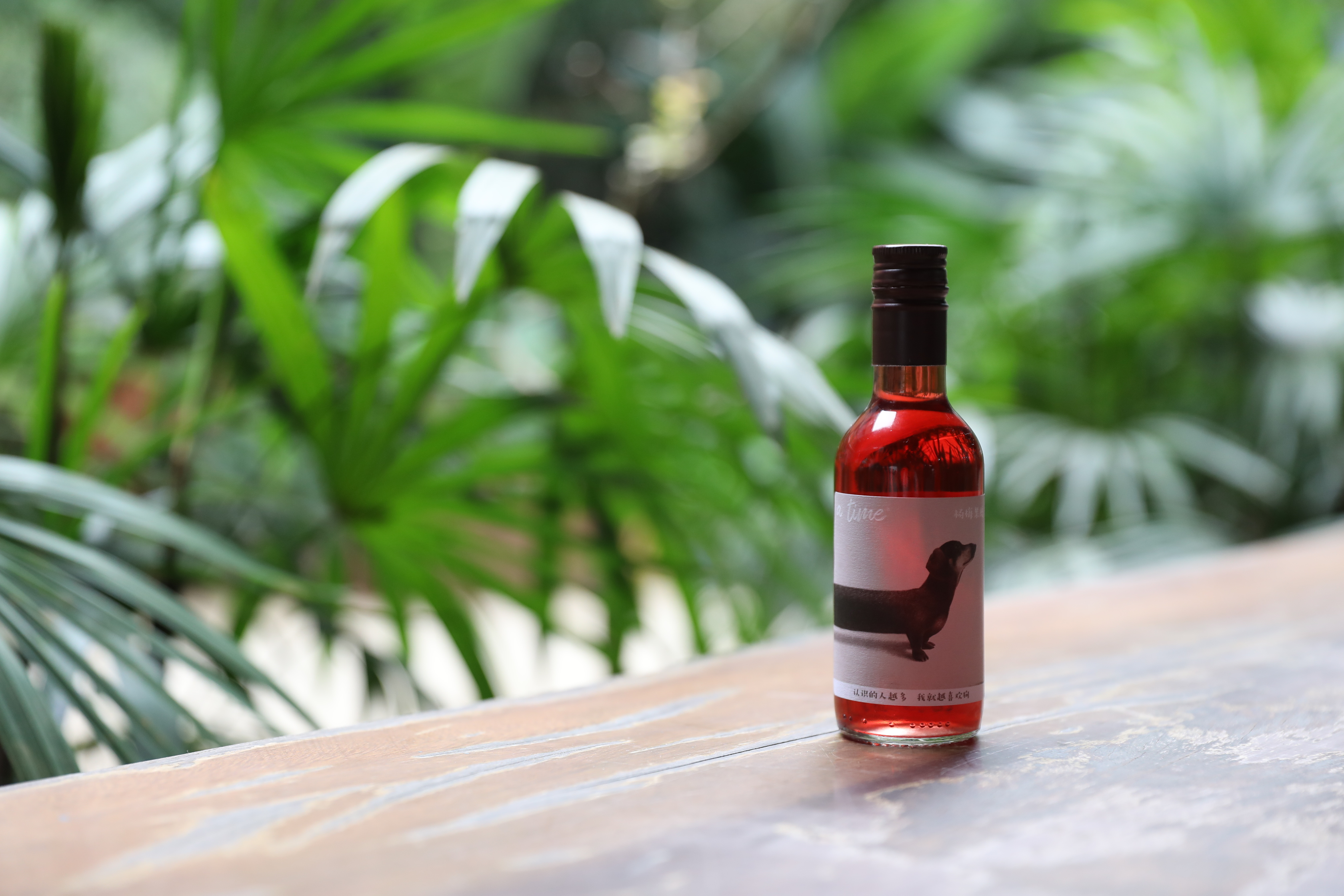 生活有時小酒，適合女生聚會喝的酒