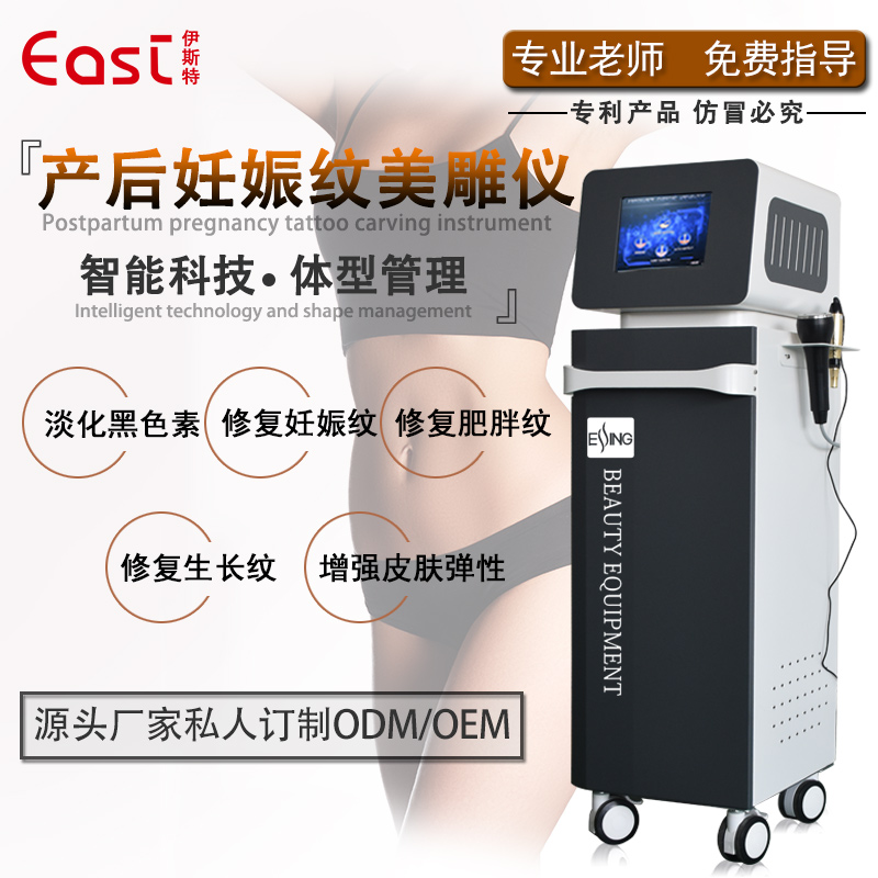 伊紳ESSING產(chǎn)后*修復儀器多功能美容院儀器產(chǎn)后調(diào)理*理療儀臺式廠家直銷