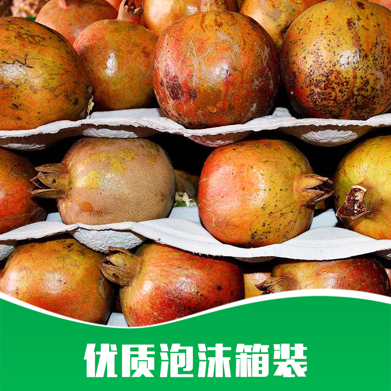 泡沫箱裝 泡沫箱裝價格 優(yōu)質(zhì)泡沫箱裝箱裝泡沫 泡沫箱 廠家直銷 品質(zhì)保障