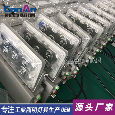 NFE9178LED應(yīng)急燈-NFE9178-NFE9178適用范圍