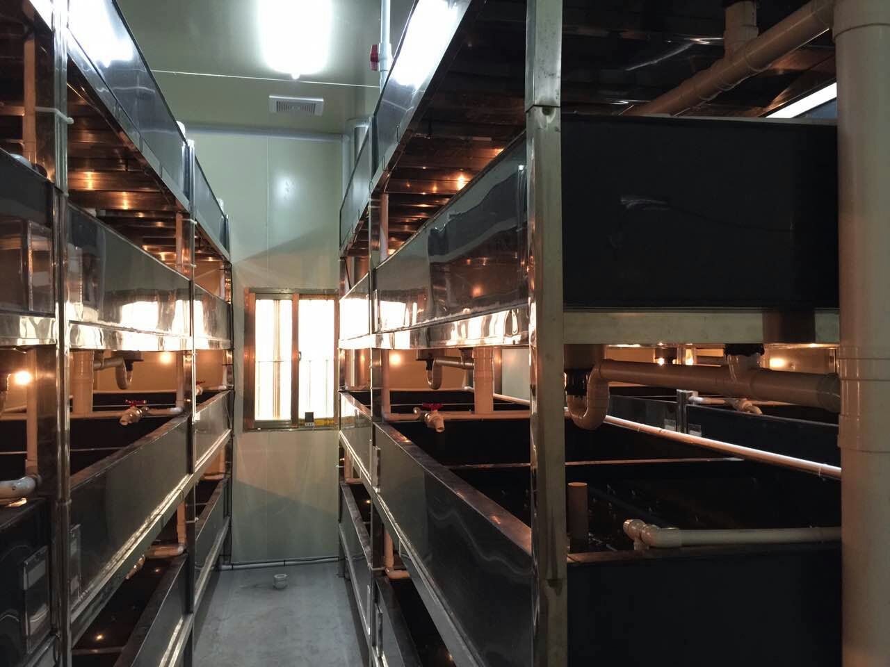 溫室?guī)淼慕?jīng)濟(jì)效益