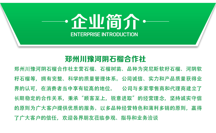 軟籽石榴樹(shù)苗-廠家供應(yīng)商 批發(fā)