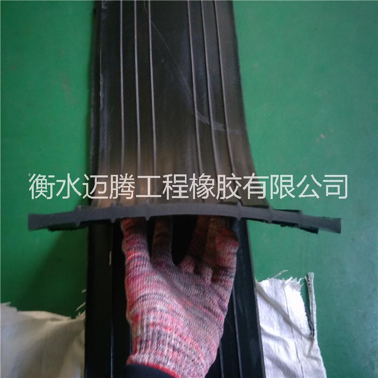 中埋無孔橡膠止水帶300*6mm廠家直銷 品質(zhì)保證