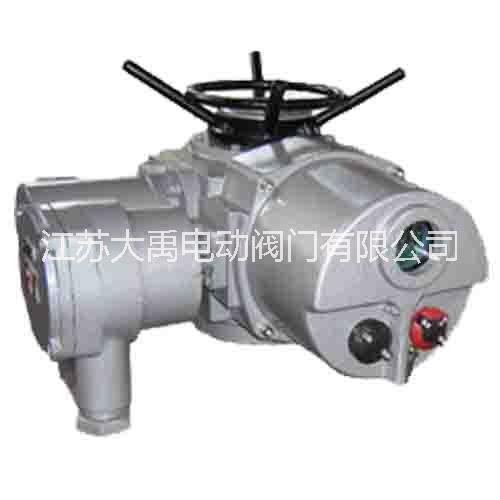DZW30-24-A00-WK智能型電裝 智能型閥門電動(dòng)裝置Z30-24T
